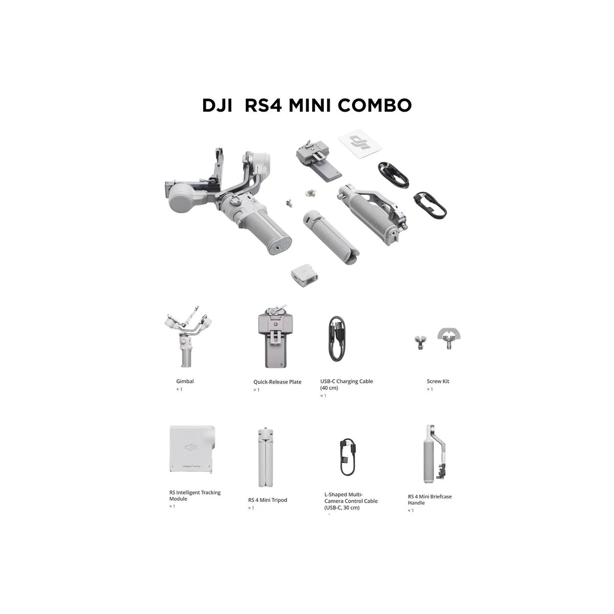 Estabilizador DJI RS 4 Mini Combo