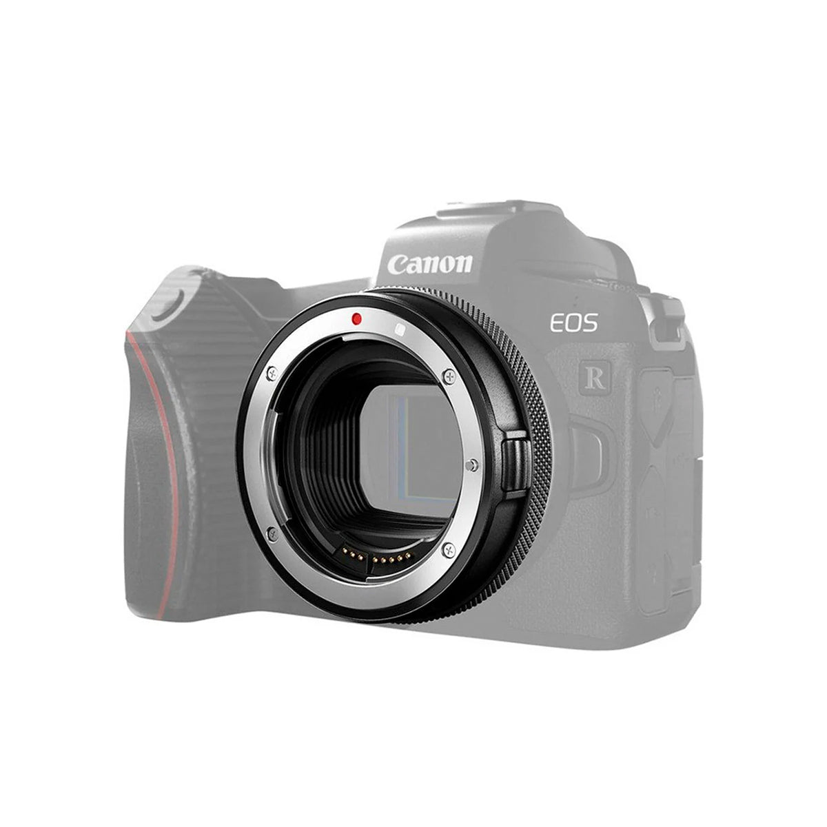 Canon Adaptador de Montura EF-EOS R | Cámara Canon Profesional DSLR/Mirrorless